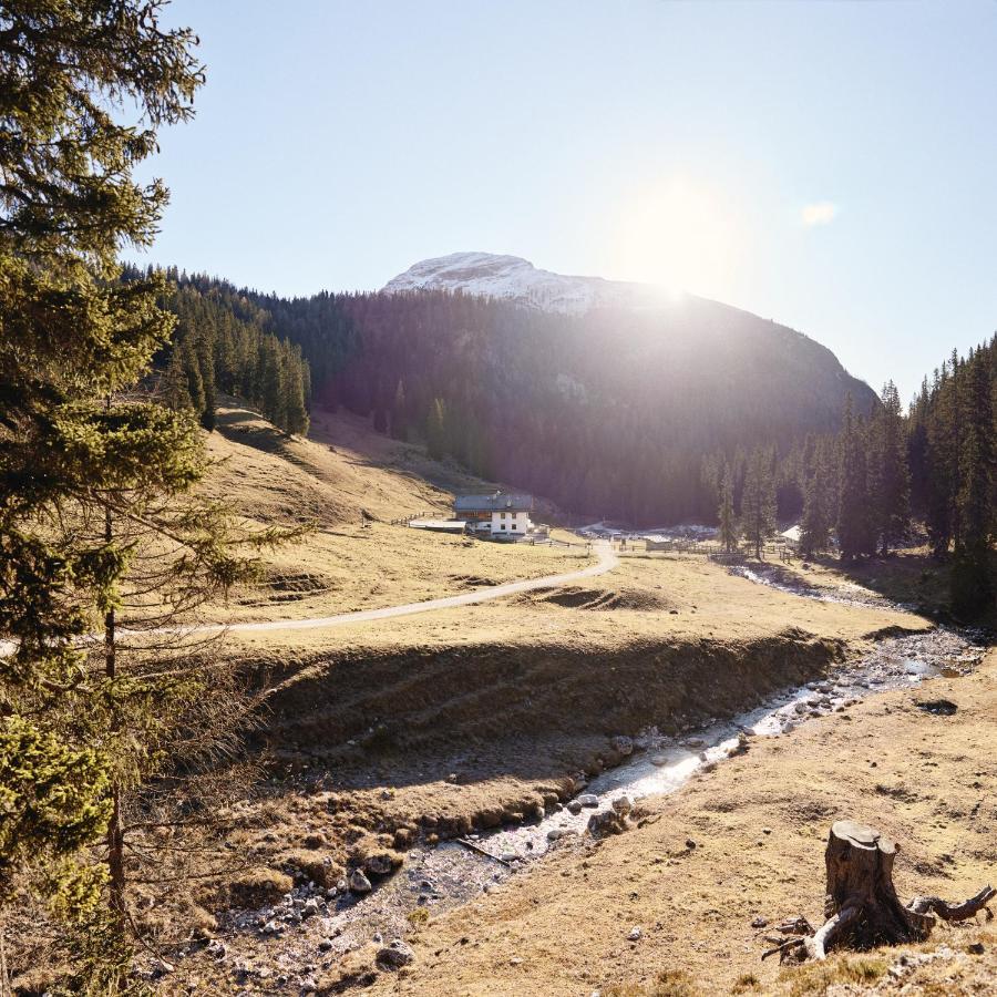 Rifugio Malga Ra Stua Villa Cortina dʼAmpezzo Exteriör bild