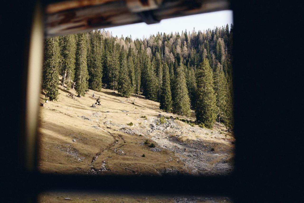 Rifugio Malga Ra Stua Villa Cortina dʼAmpezzo Exteriör bild