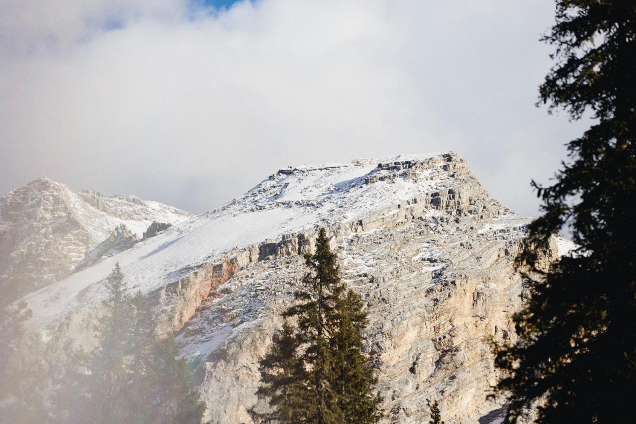 Rifugio Malga Ra Stua Villa Cortina dʼAmpezzo Exteriör bild