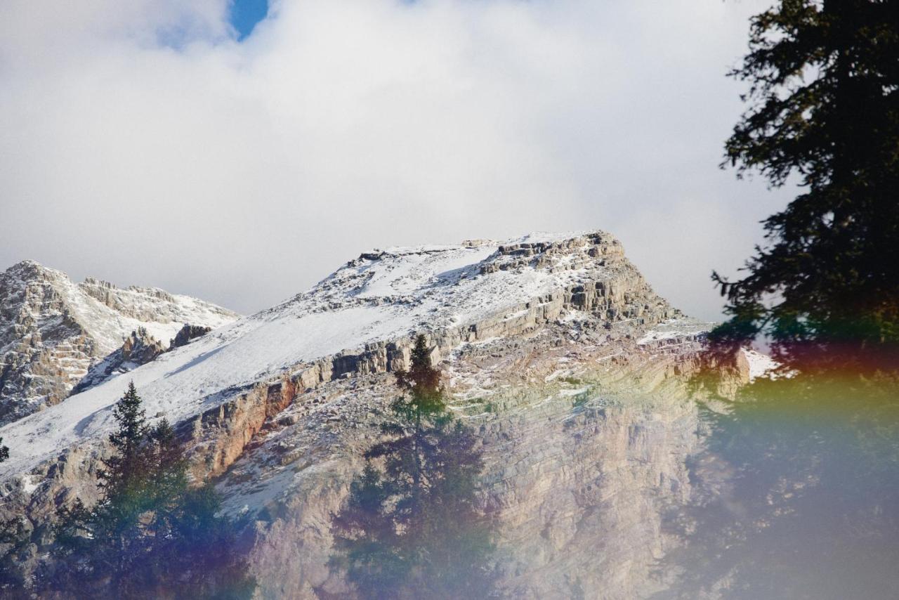 Rifugio Malga Ra Stua Villa Cortina dʼAmpezzo Exteriör bild
