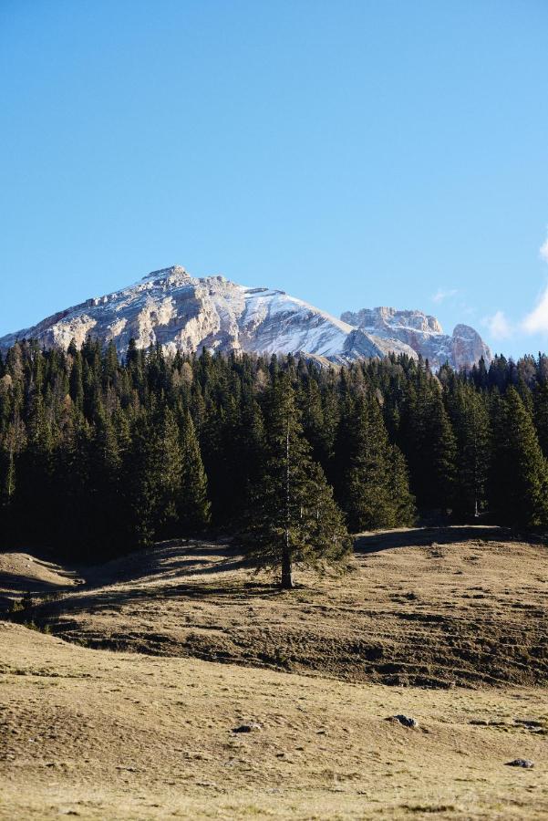 Rifugio Malga Ra Stua Villa Cortina dʼAmpezzo Exteriör bild