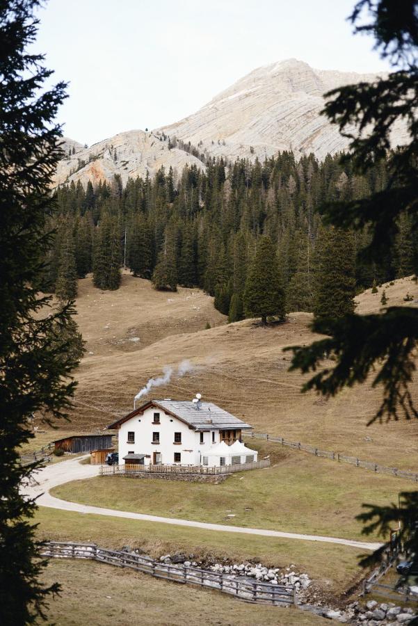 Rifugio Malga Ra Stua Villa Cortina dʼAmpezzo Exteriör bild