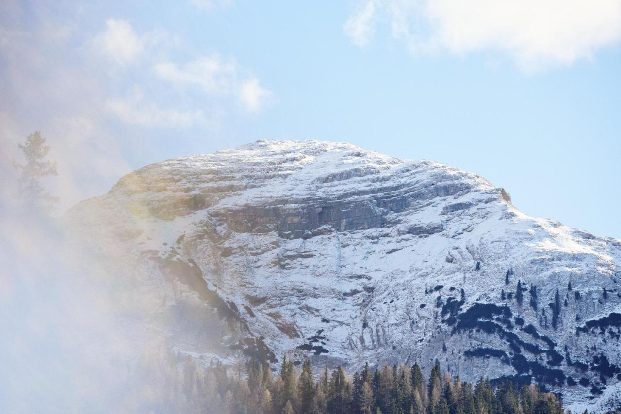 Rifugio Malga Ra Stua Villa Cortina dʼAmpezzo Exteriör bild